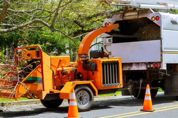 Best Tree and Shrub Care  in Valatie, NY