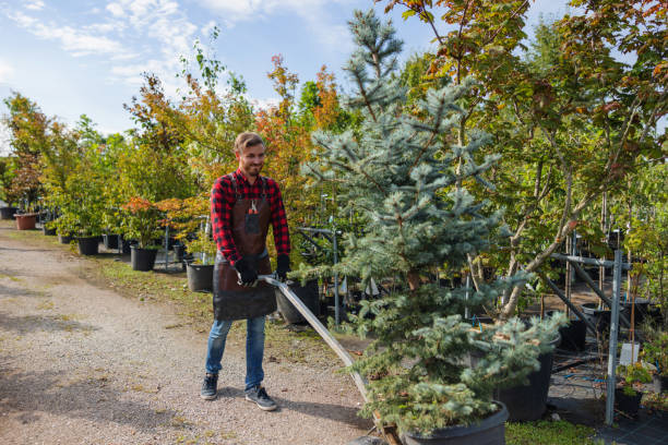 How Our Tree Care Process Works  in  Valatie, NY