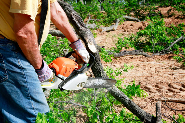 Best Seasonal Cleanup (Spring/Fall)  in Valatie, NY